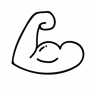 developper sa musculature avec une formation coaching en ligne personnalisé